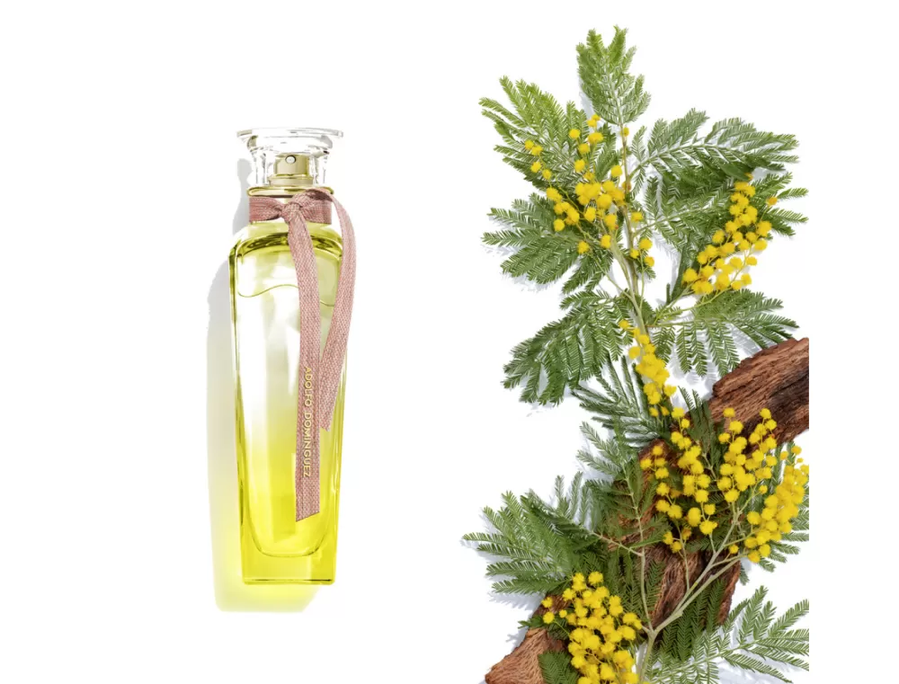 Discount Adolfo Dominguez Aguas Frescas Mimosa Coriandro Eau De Toilette